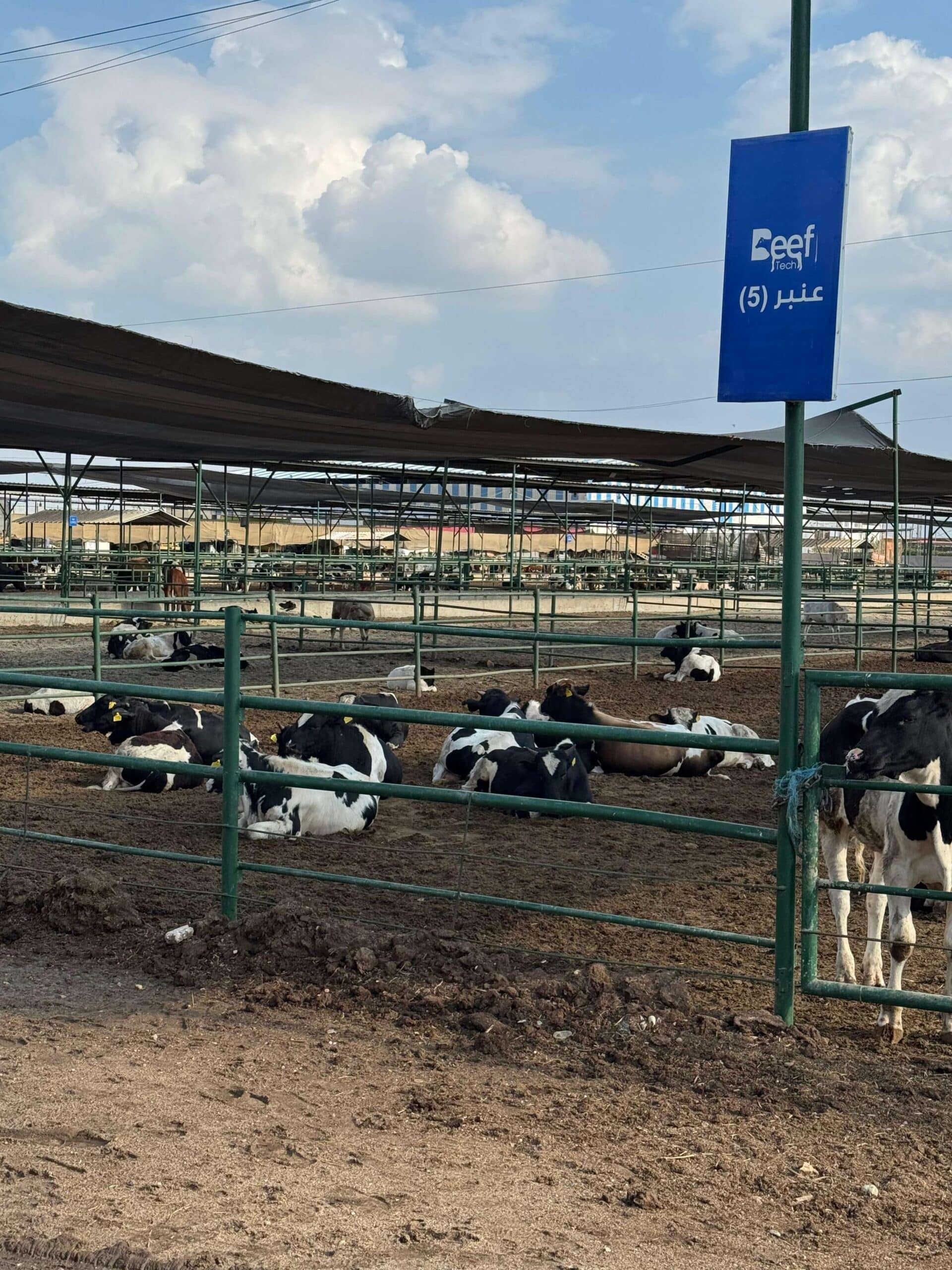 IMG 9824.JPG 1 Scaled